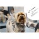 Pet Grooming Clippers Pethaus PH-100 Cordless Low Noise Kit for Dogs & Cats, pink