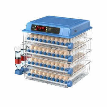 Automatic Egg Incubator for 256 Eggs