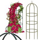 Dārza Pergola Ziedu Balsta Kolonna Augiem Arka Rozēm, 190cm | Garden Flower Support Column for Climbing Plants