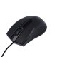 Оптическая мышь Maxlife MXHM-01 1000 DPI 1.2м черная