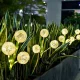 Saules lampa dārzam Forever Light SUNARI FLS-95 Dekoratīvais ķiploks 3000K 600mAh