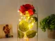 Mūžīgā Roze ar LED Gaismu, Labākā Dāvana | Everlasting Rose in Glass