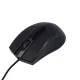 Оптическая мышь Maxlife MXHM-01 1000 DPI 1.2м черная