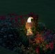 Solar garden LED lamp in eagle shape, warm white light