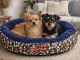 Soft Round Pet Bed for Small/Medium Dogs and Cats, 53cm, Camouflage