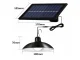 Hanging Solar LED Garden Light with Remote Control and Dusk Sensor
