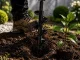 Garden Auger Drill Bit for Planting for Drill and Screwdriver 59 x 8 cm