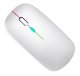 Rechargeable Wireless Mouse with RGB Lighting, White