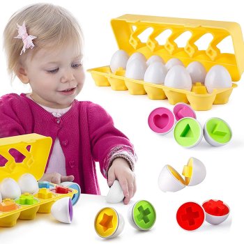 Montessori Shape Matching Egg Sorter Puzzle