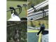 Эластичные Резинки Для Крепления Тента, Баннеров, 10 Шт. | Elastic Bungee...