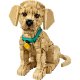 LEGO Icons 11384 Golden Retriever Puppy konstruktors