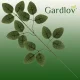Gardlov mākslīgo rožu lapu zari, 51 cm, 12 gab. komplekts
