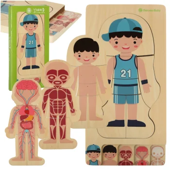 Wooden educational puzzle "Montessori" anatomy, studying the parts of the body, boy