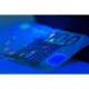 2in1 XPE UV Lukturis Trizand 24311 | Flashlight