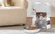 Automatic Pet Feeder Rojeco 3L Button Version - White Smart Dispenser