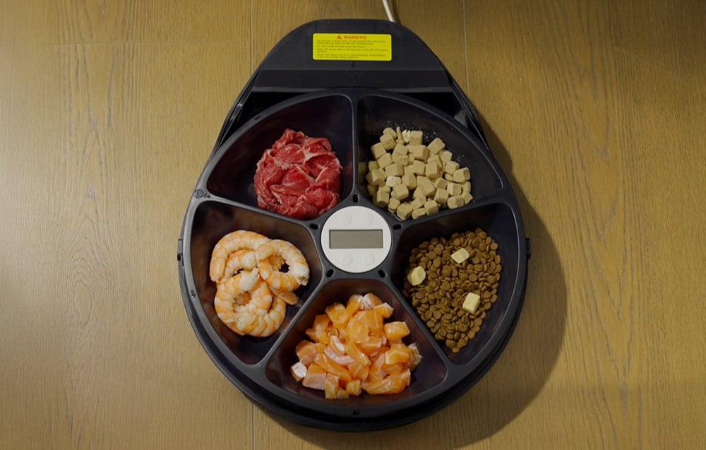 Automatic Pet Feeder with Cooling UBPet F10 5x330ml (1)
