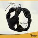 Purlov No-Pull Harness for Small Dogs and Cats S 26868