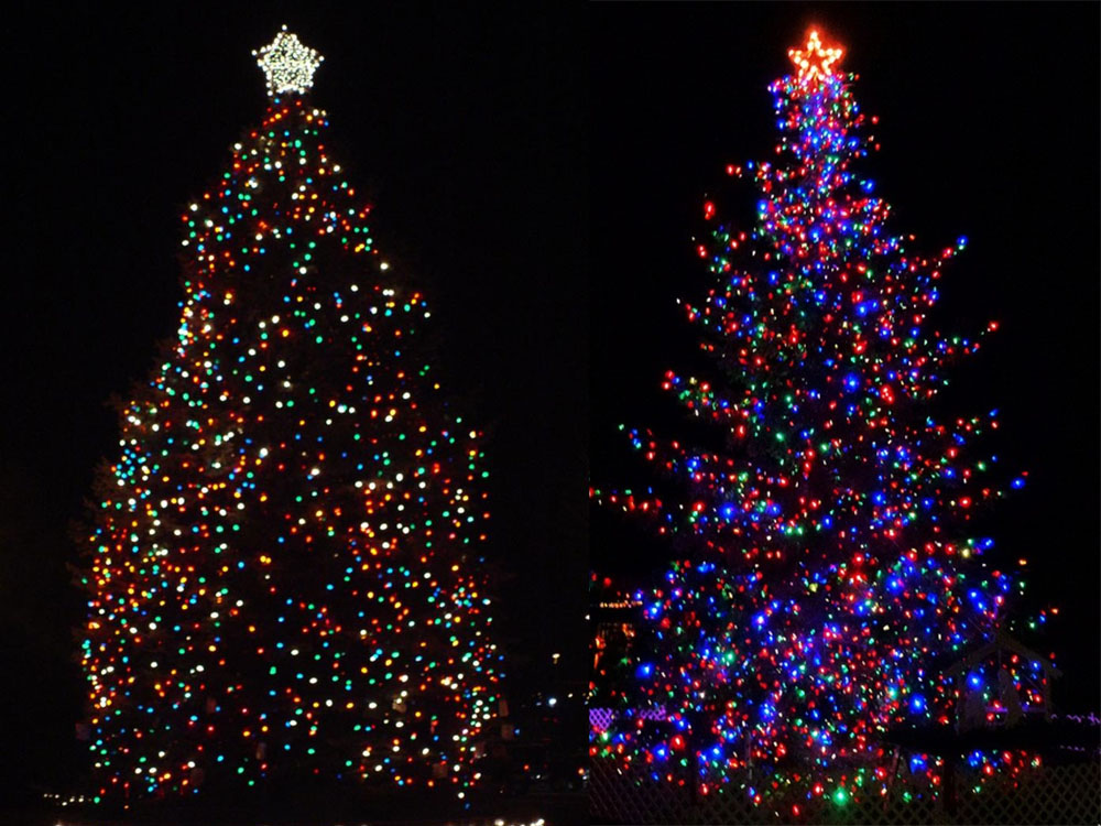 Christmas Tree Fairy Lights, 300 LED (4)