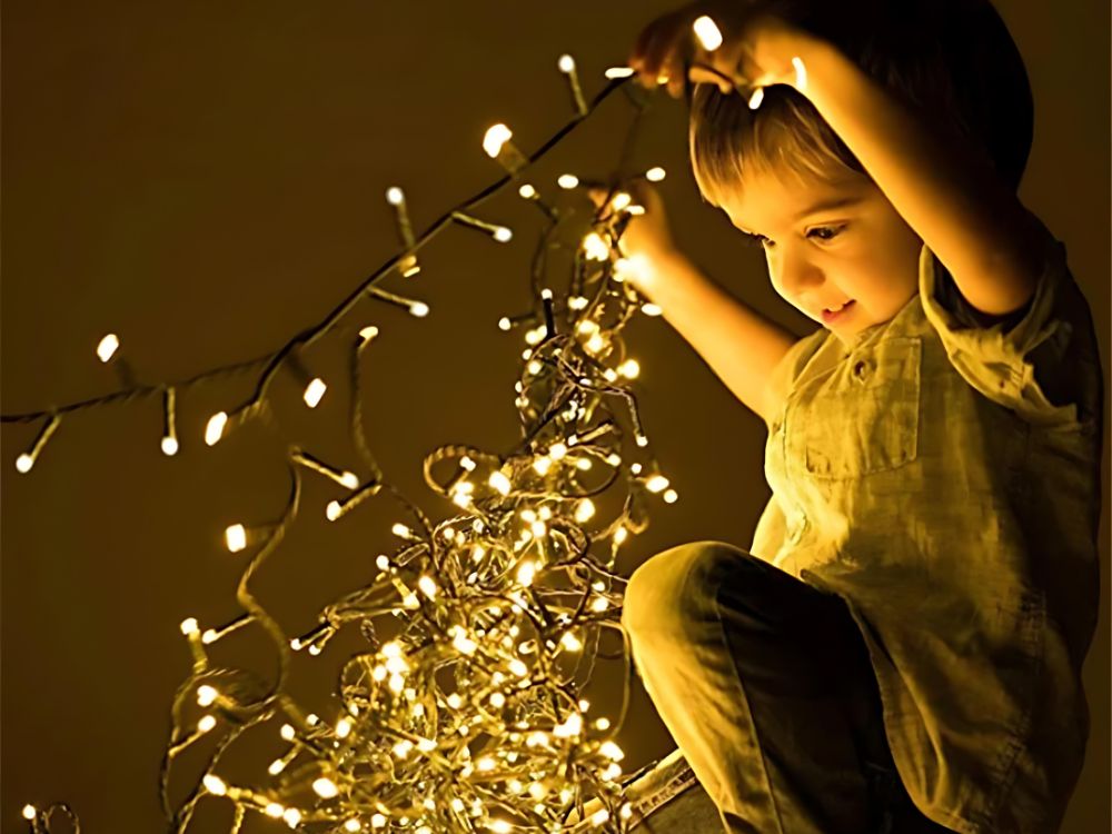 Christmas tree lights indoor white warm 500 LED lighting 7 programs (2)