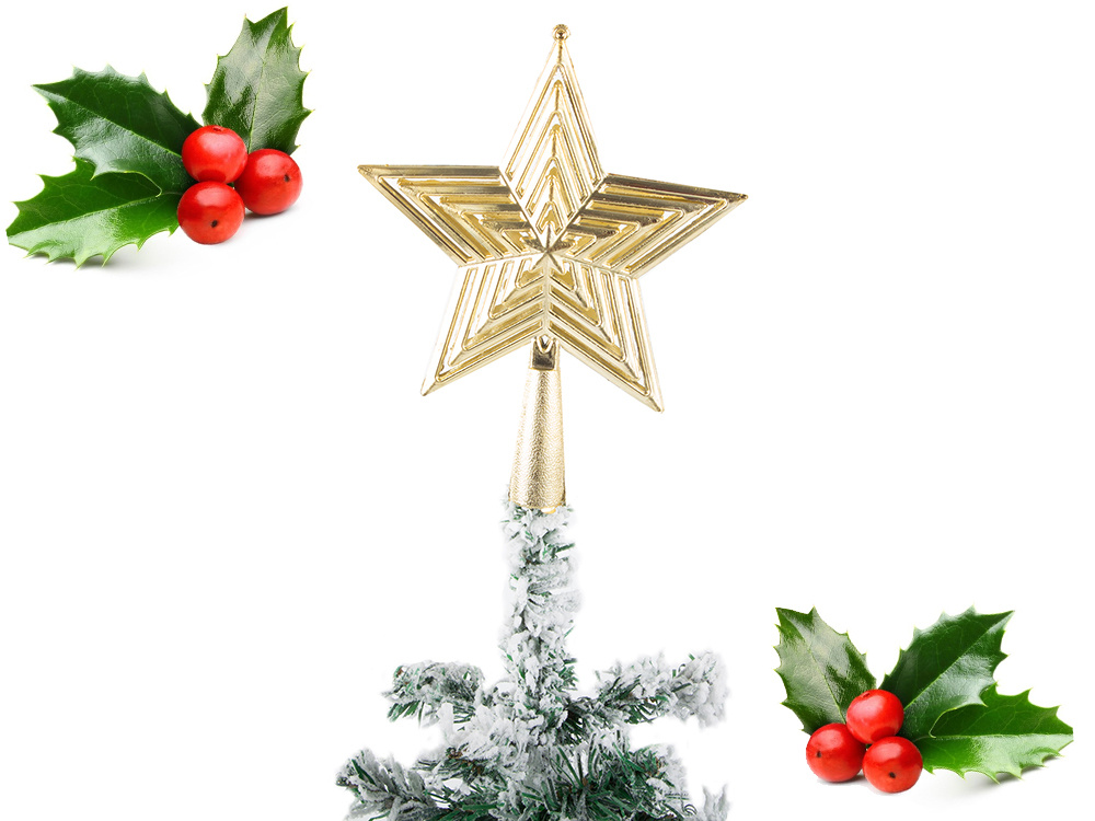 Christmas Tree Star, Gold Christmas Decoration (4)