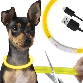 Adjustable LED Dog Collar with USB-C Charging Purlov 24200, Yellow