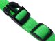 Adjustable Light Up LED Dog and Cat Collar, up to 59 cm, Green
