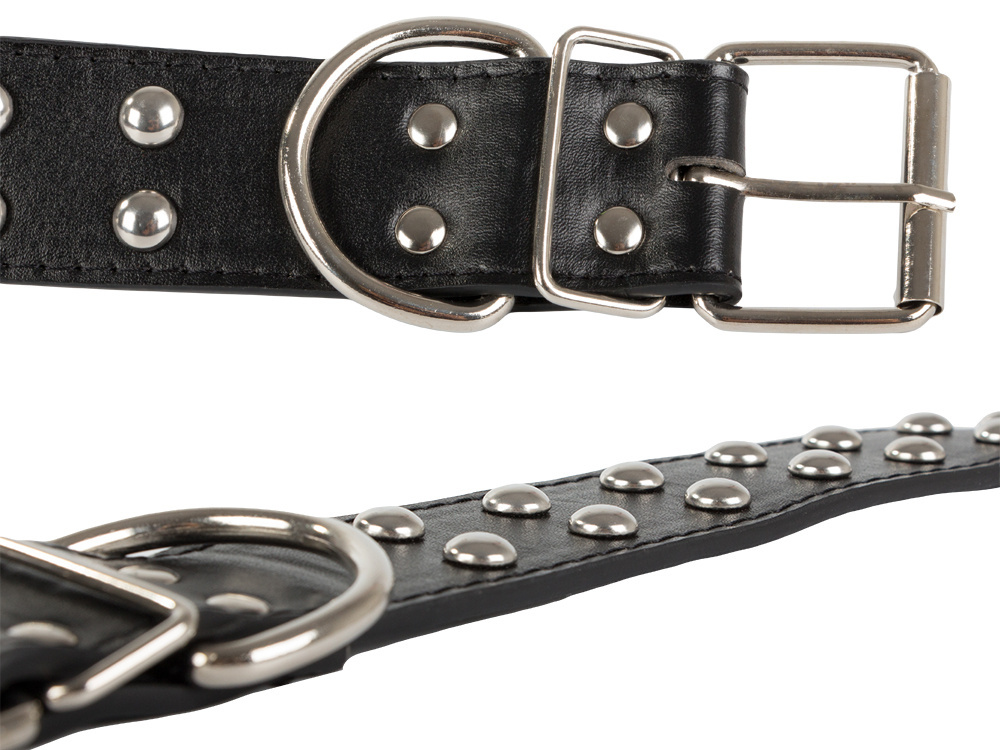 Adjustable eco-leather dog collar with studs L (2)