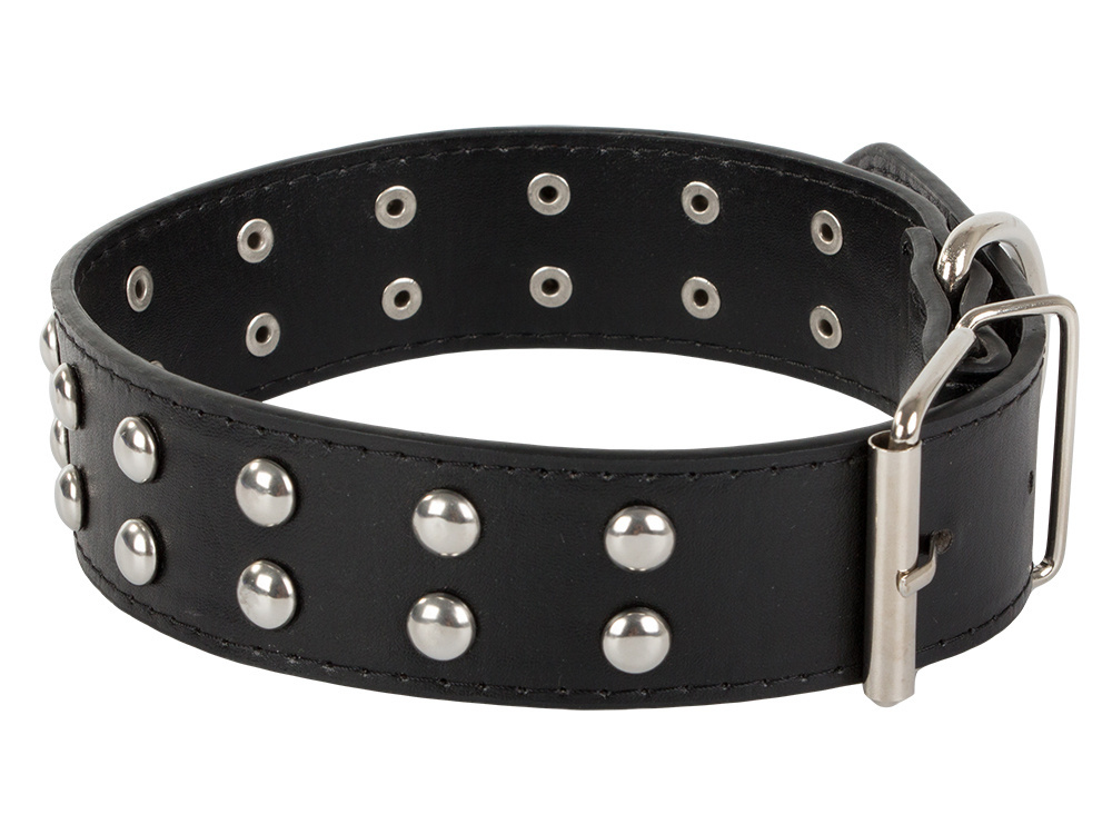 Adjustable eco-leather dog collar with studs L (3)