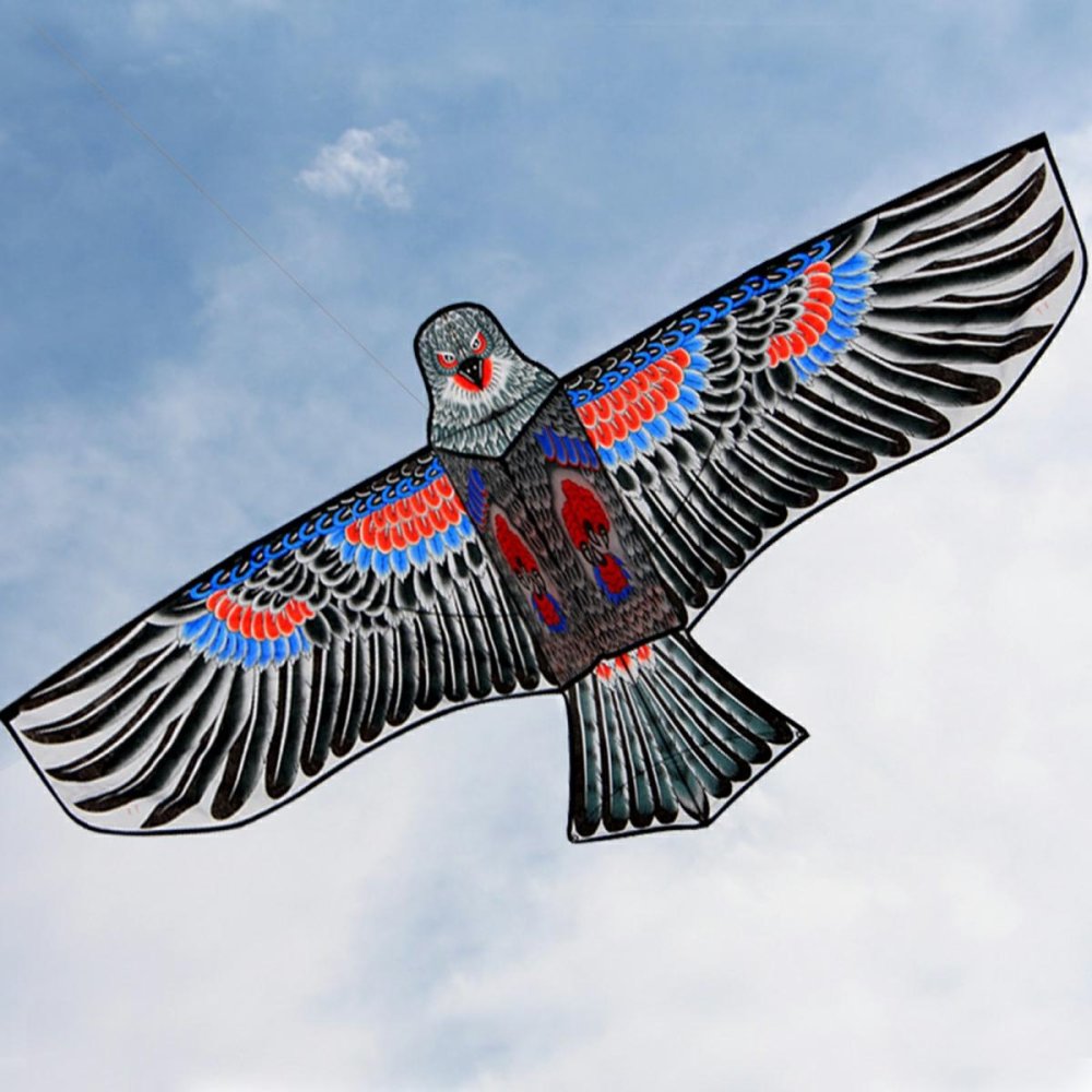 Flying Kite Eagle - 160 cm, Mix Color (0)