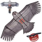Flying Kite Eagle, 200cm