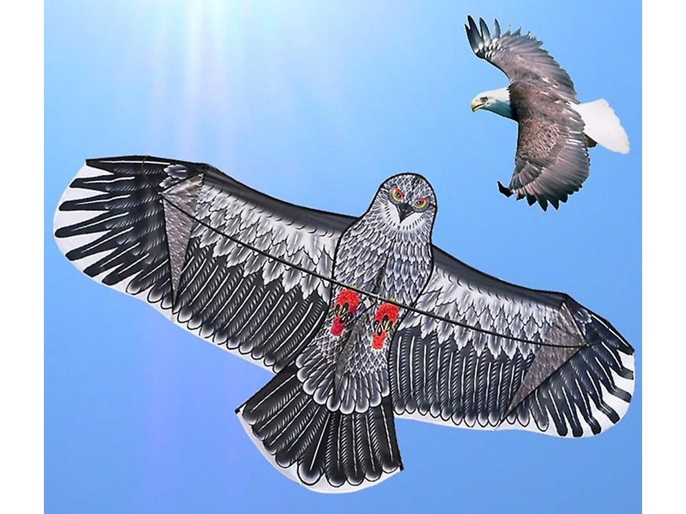 Flying Kite Eagle, 200cm (3)