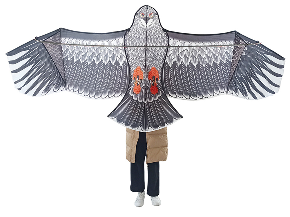 Flying Kite Eagle, 200cm (7)