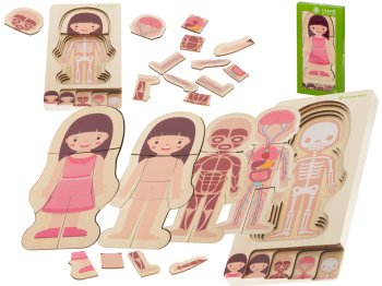 Wooden educational puzzle "Montessori" anatomy, studying the parts of the body, girl