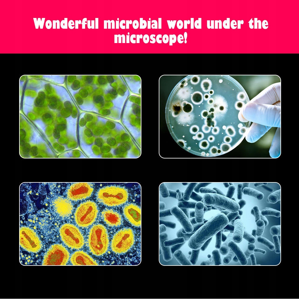 Microscope with up to 1200x Magnification with Accessories (0)