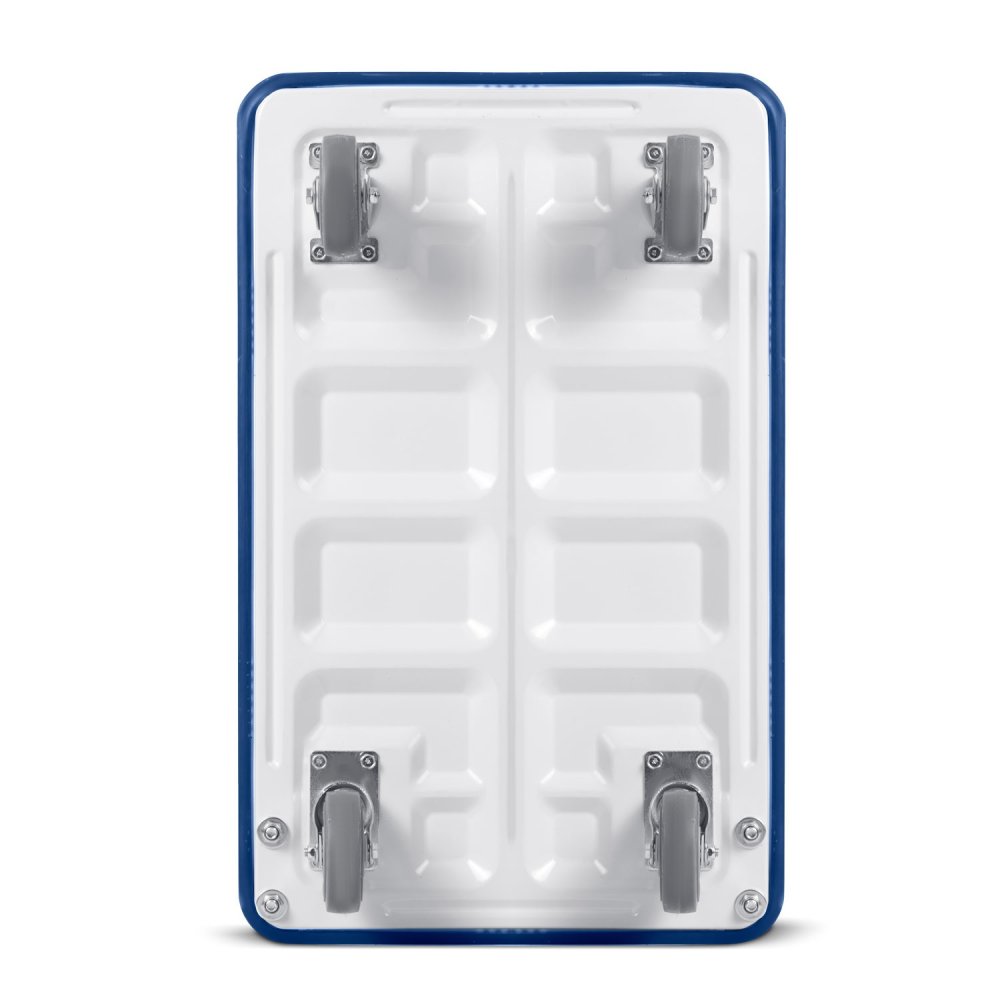 Humberg HM-505 Folding Platform Trolley, 150 kg Capacity, White-Blue (3)