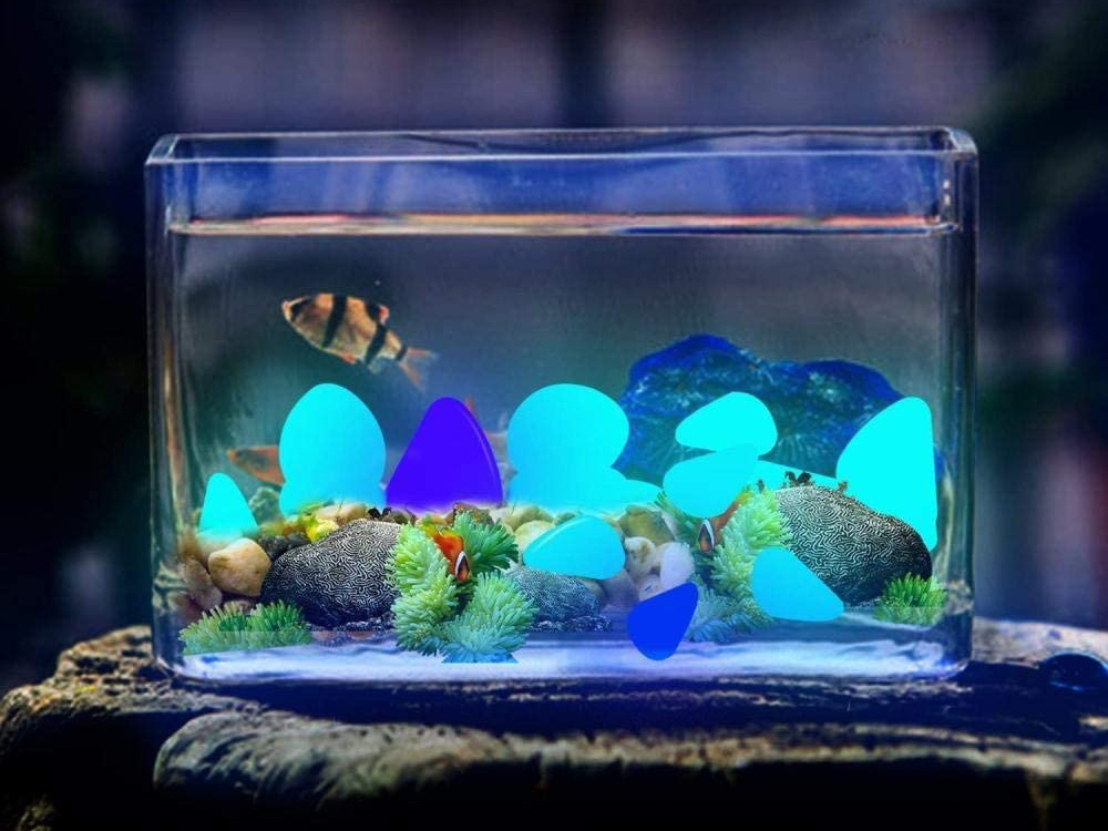 Fluorescent Lighting Stones, Glowing Pebbles, Blue, Pack of 100 (6)