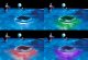 INTEX 28695 Floating Solar-Powered LED Pool Light