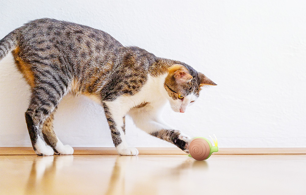 Cheerble Wicked Snail Interactive Ball Toy with Rope for Dog Cat (3)