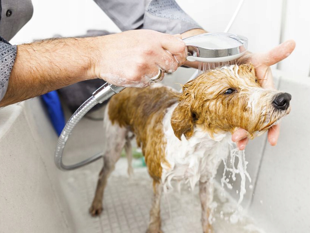 Anti-Slip Protective Mat for Drawers, Bathroom, Cupboards, Universal, 100x140 cm (0)