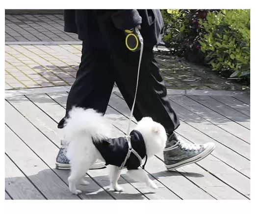 Automatic Retractable Dog Leash 5m/15kg Purlov 19788 (6)