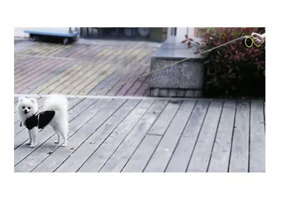 Automatic Retractable Dog Leash 5m/15kg Purlov 19788 (8)