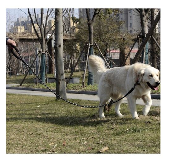 Reflective Dog Training Leash 3m Purlov 21654 (2)