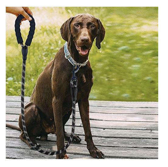 Reflective Dog Training Leash 3m Purlov 21654 (3)