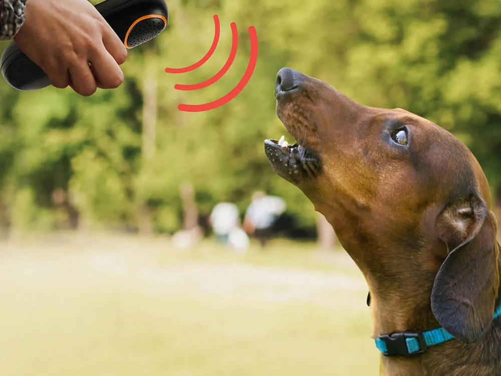 Ultrasonic Anti-barking Device Electronic Dog Repellent Dog Training Device (5)