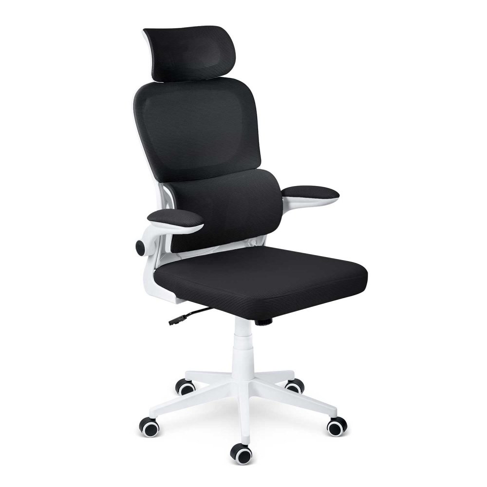 Sofotel Formax Ergonomic Mesh Office Chair, black (1)