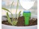 Plastic Drinker Pot Waterer for Plants at Home and Outdoors, up to 500ml, Different colour