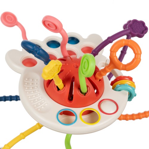 Sensory Toy Teether (6)