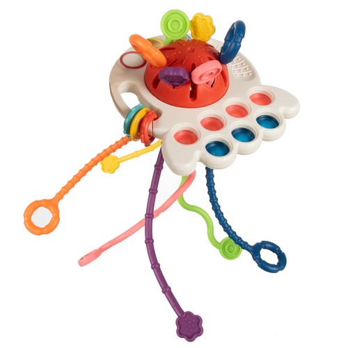 Sensory Toy Teether (7)
