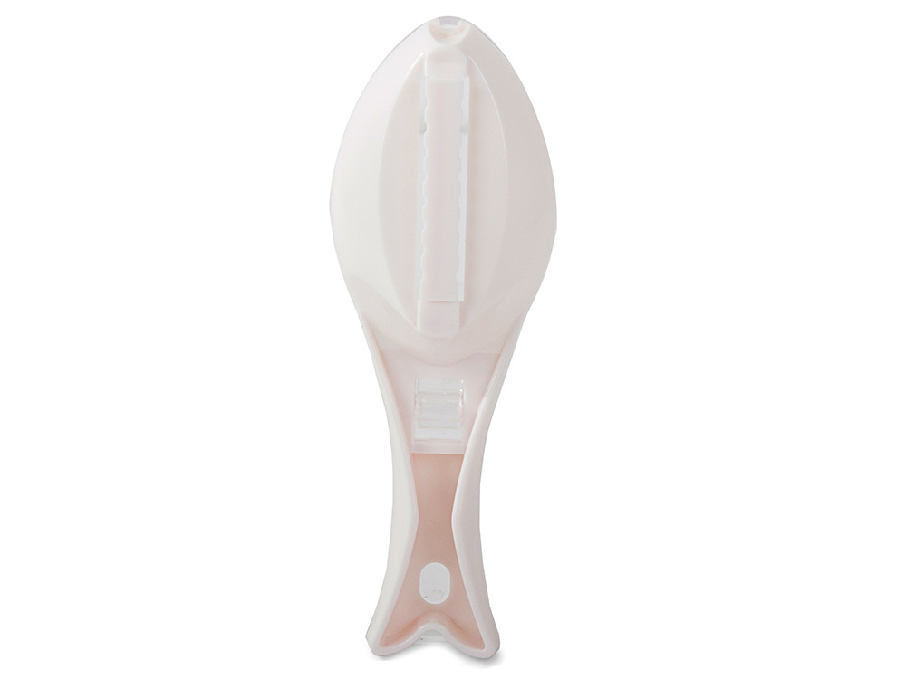 Fish Scraper Peeler Scallion Knife Container (1)