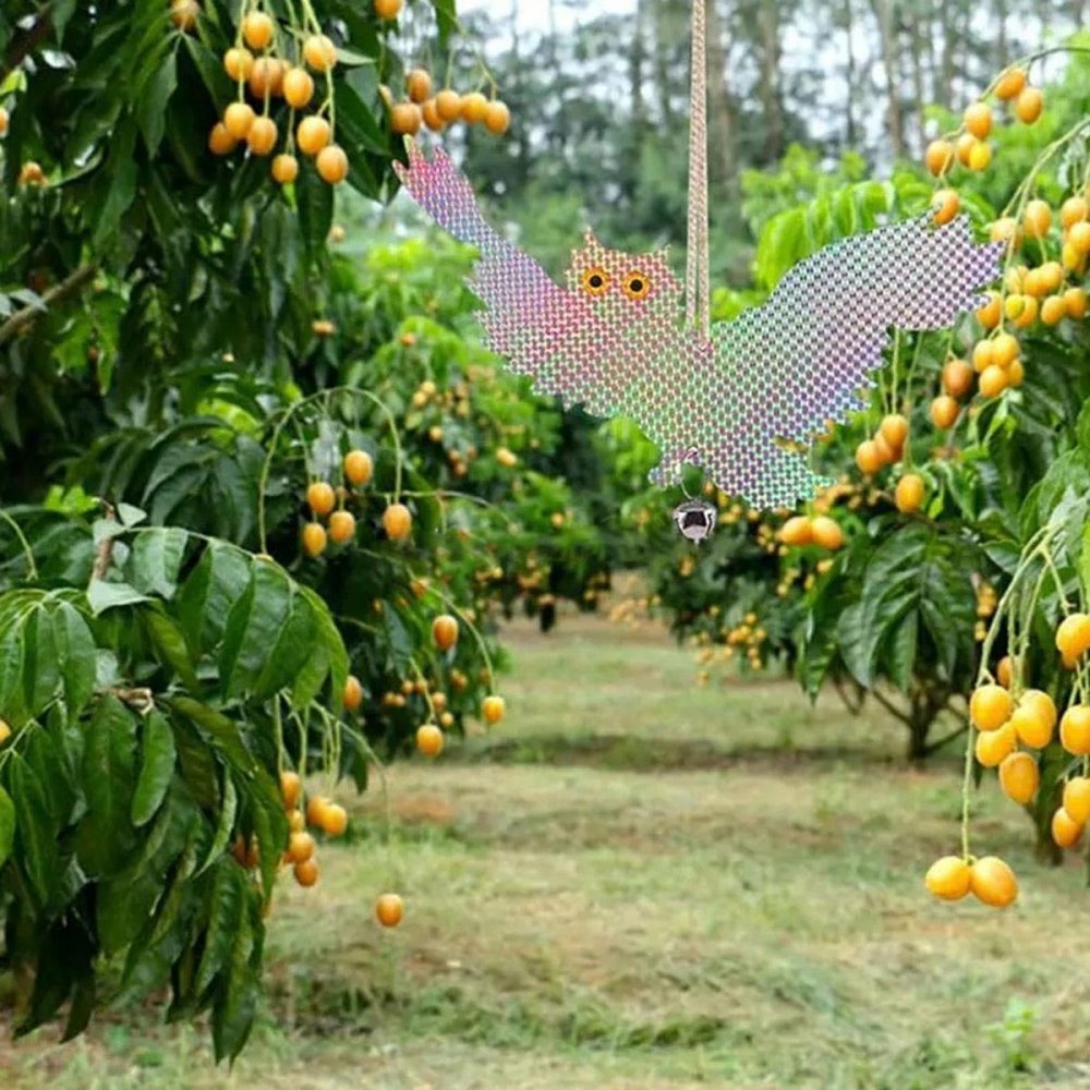 Bird repeller flying owl, holographic, 20x39 cm (1)